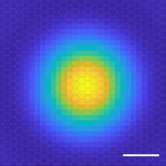 A century after being discovered, humans have captured the electron orbital image of excitons for the first time